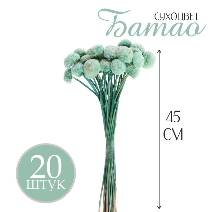 Сухоцвет «Батао» набор 20 шт., цвет голубой от компании Интернет - магазин Flap - фото 1