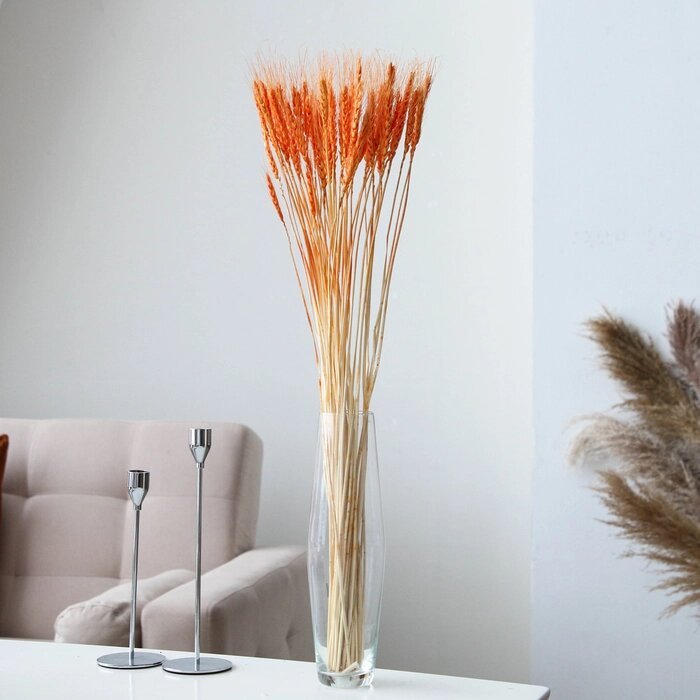 Сухой колос пшеницы, набор 50 шт., цвет оранжевый от компании Интернет - магазин Flap - фото 1