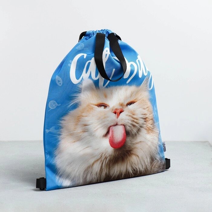 Сумка для обуви «Cat Bag», два вида ручек, 41х31 см от компании Интернет - магазин Flap - фото 1