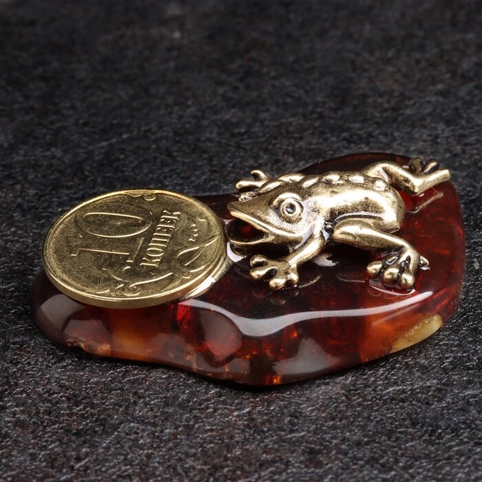 Сувенир "Лягушка с монетой 10 коп", латунь, янтарь от компании Интернет - магазин Flap - фото 1
