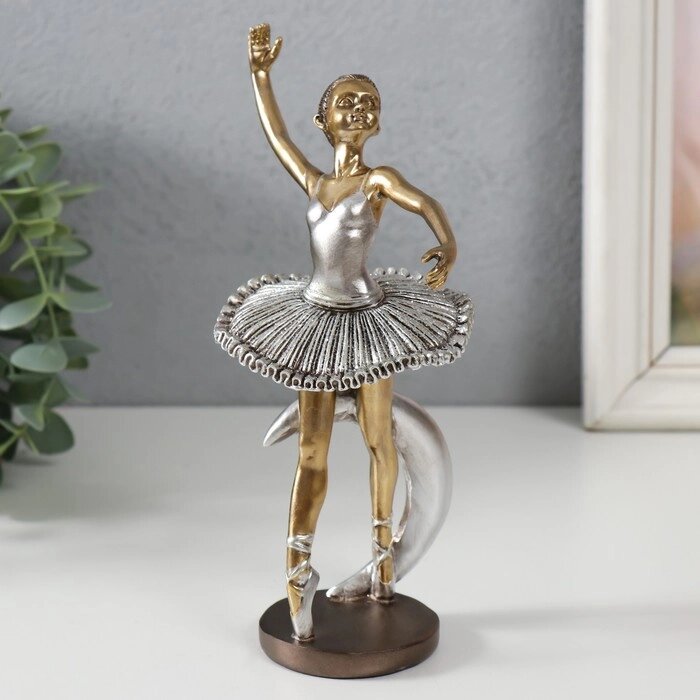 Сувенир полистоун "Маленькая балерина в серебристой пачке и месяц" 11х8х18,2 см от компании Интернет - магазин Flap - фото 1