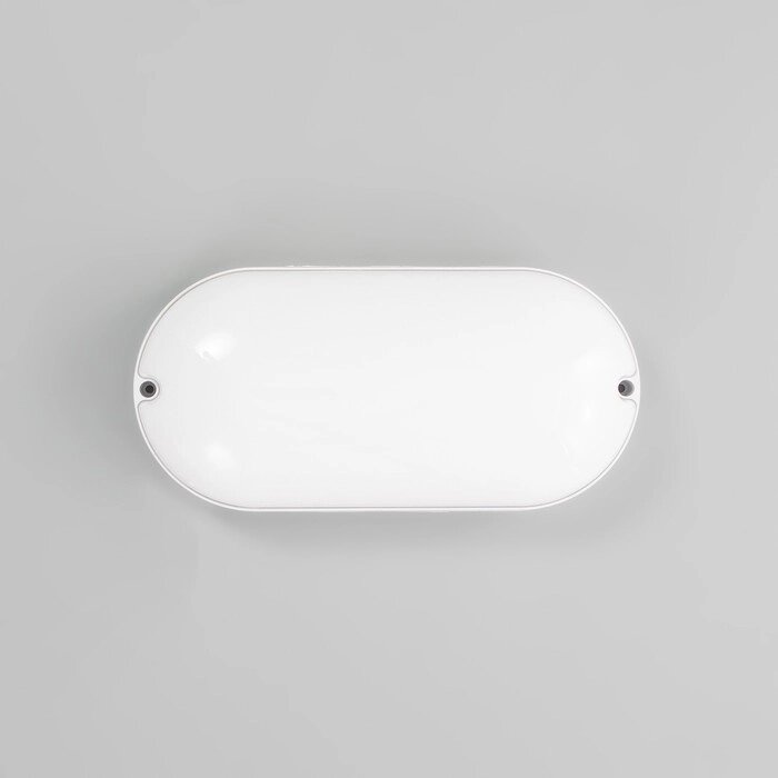 Светильник "Овал" LED 20Вт IP65 белый 6,8х13,5х27 см от компании Интернет - магазин Flap - фото 1