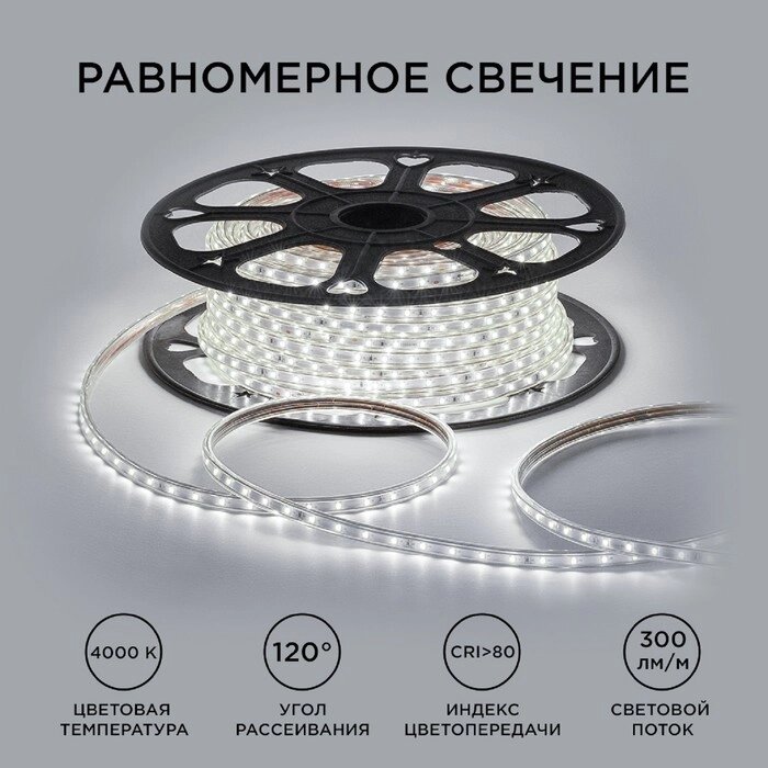 Светодиодная лента Apeyron 220В, SMD2835, 10x7 мм, 50 м, IP65, 5Вт/м, 60 LED/м, 4000К от компании Интернет - магазин Flap - фото 1