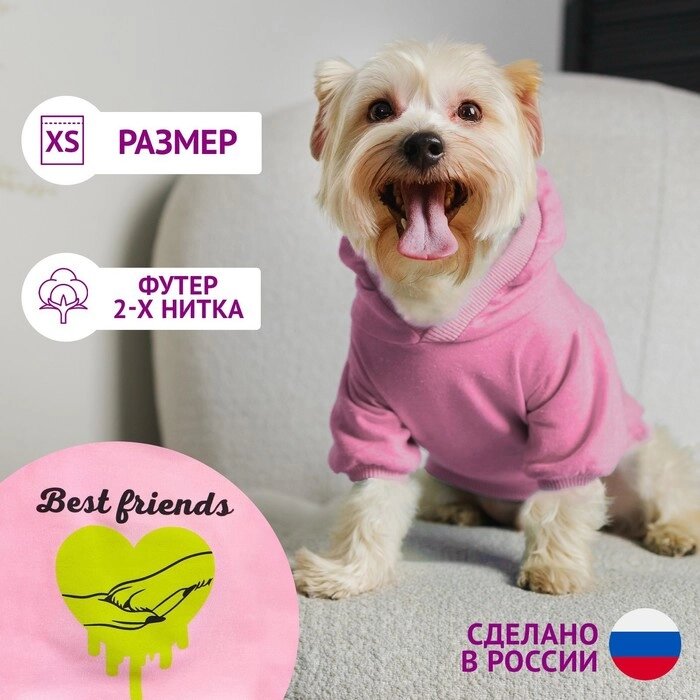Толстовка Best Friends для собак (футер), размер XS (ДС 18, ОШ 28-30, ОГ 38-40), розовая от компании Интернет - магазин Flap - фото 1