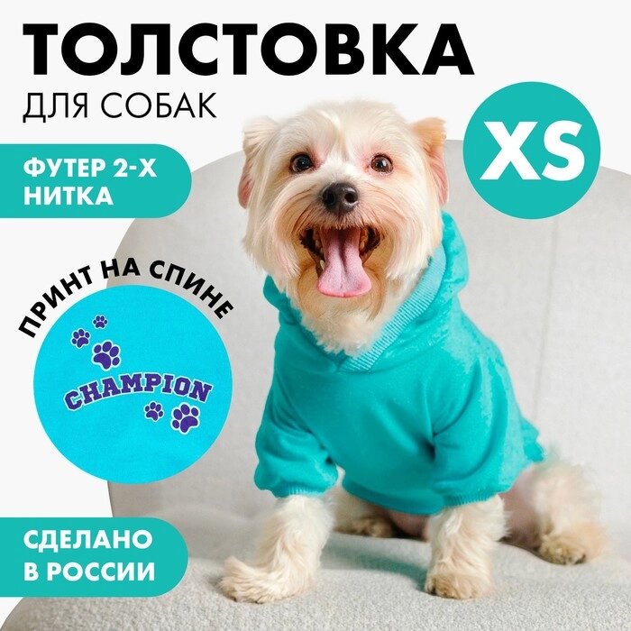 Толстовка Champion для собак (футер), размер XS (ДС 18, ОШ 28-30, ОГ 38-40), голубая от компании Интернет - магазин Flap - фото 1