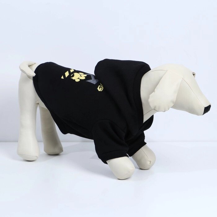 Толстовка Off-Dog для собак (футер с начесом), размер XS (ДС 20, ОШ 30-33, ОГ 38-42), чёрная от компании Интернет - магазин Flap - фото 1