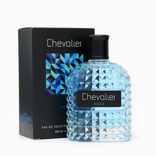 Туалетная вода мужская Chevalier Aqua, 100 мл (по мотивам Versache Eau Fraishe)