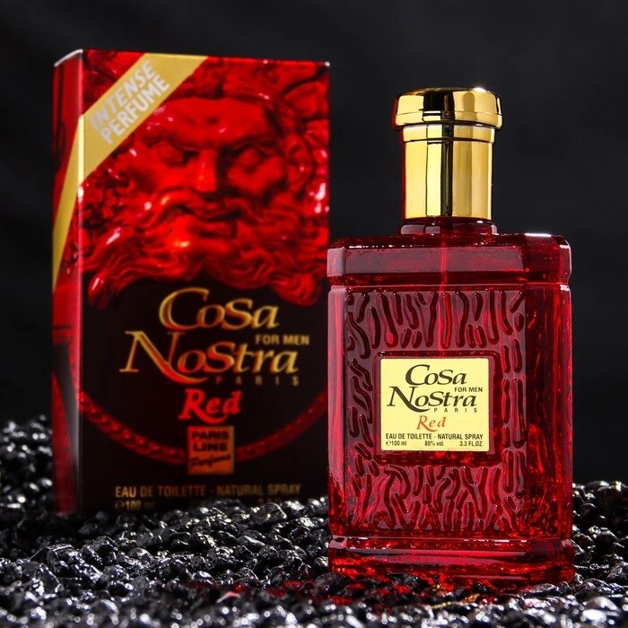 Туалетная вода мужская Cosa Nostra Red Intense Perfume, 100 мл от компании Интернет - магазин Flap - фото 1
