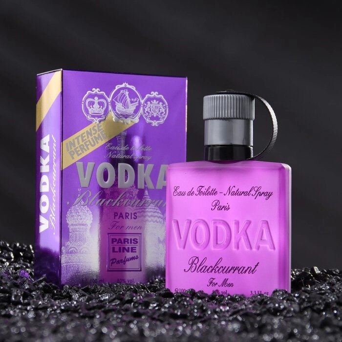 Туалетная вода мужская Vodka Blackcurrant Intense PerfumeD, 100 мл от компании Интернет - магазин Flap - фото 1