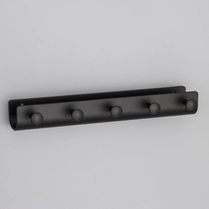 Вешалка на 5 крючков «Став», 27,543,5 см, цвет чёрный от компании Интернет - магазин Flap - фото 1