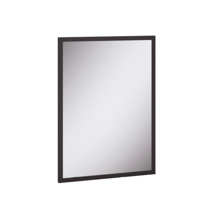 Зеркало Гранд, 590х22х820, Черный от компании Интернет - магазин Flap - фото 1