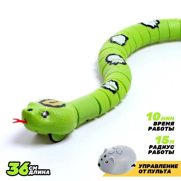 Змея радиоуправляемая «Джунгли», работает от аккумулятора, цвет зеленый от компании Интернет - магазин Flap - фото 1