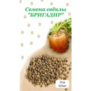 625 шт. Семена свеклы кормовой / высокоурожайный сорт / сорт "Бригадир"