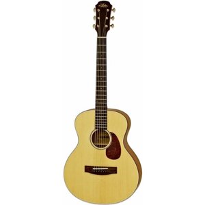 Акустическая гитара ARIA-151 MTN