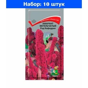 Амарант метельчатый Ред Кафедрал 0,1гр Одн 120 см (Поиск) - 10 пачек семян