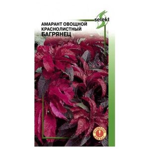 Амарант овощной краснолистный Багрянец, 100 семян