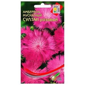 Амбербоа мускатный Султан, розовый, 45 семян
