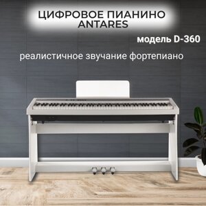 Antares D-360 W цифровое фортепиано