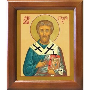 Апостол от 70-ти Стахий, епископ Византийский, икона в деревянной рамке 12,5*14,5 см