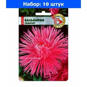 Астра Валькирия селект Скарлет китайская 30шт Одн 70см (Биотехника) - 10 пачек семян