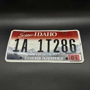 Автомобильный номер штата Айдахо, металл, краска, США, 2000-2020 гг.