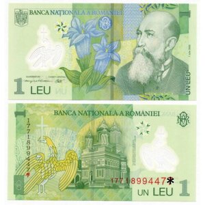 Банкнота Румыния 1 лей 2005 (2017) год 177I8994471. UNC (пластик)