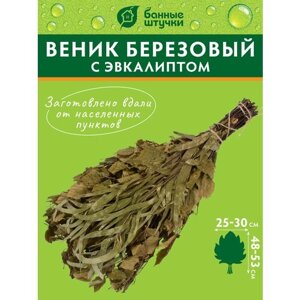 Банные штучки веник березовый с эвкалиптом 60 см 40 см 10 см 0.17 кг береза зеленый