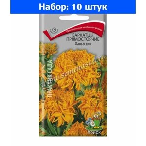 Бархатцы пр. Фантастик 0,2г 70см (Поиск) - 10 пачек семян