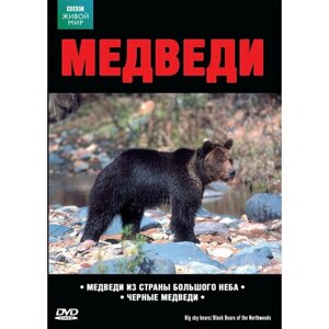 BBC: Медведи из Страны Большого Неба / Черные медведи (DVD)