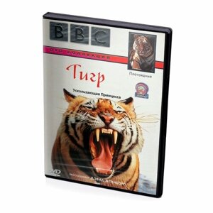 BBC: тигр (DVD)