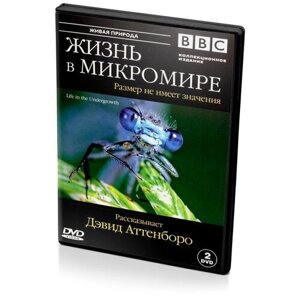 BBC: Жизнь в микромире (2 DVD)