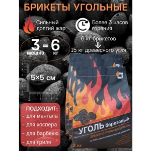 BBQGURU Угольные брикеты / PREMIUM / 2 кг + 2 кг + 2 кг / для мангала / для гриля / для барбекю / уголь для жарки