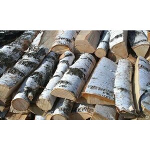 Березовые дрова короткие 20 кг 20-25 см в мешке свежая заготовка без мусора