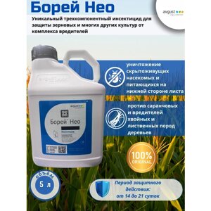 Борей Нео, 5л - инсектицид для защиты зерновых культур от комплекса вредителей, Avgust (Август), Россия