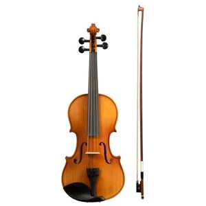 Cascha HH-2134 Скрипка 1/2, с футляром и аксессуарами