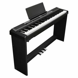 Цифровое корпусное фортепиано EMILY PIANO D-20 BK