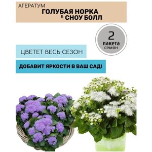 Цветы Агератум Голубая норка и Агератум Сноу Болл 2 пакета по 0,1г семян