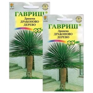 Цветы Драцена Драконово дерево 2 пакета по 3шт семян