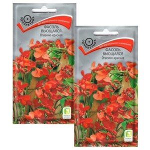 Цветы Фасоль вьющаяся Огненно-красная 2 пакета по 5шт семян