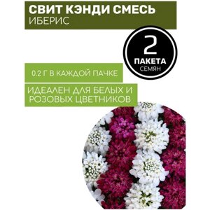Цветы Иберис Свит Кэнди смесь 2 пакета по 0,2г семян