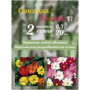 Цветы Космея Сенсация и Космея Космик комплект из 2ух пакетов