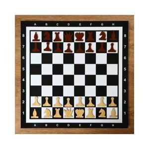Демонстрационные шахматы на магнитной доске, 60х60 см 4870420 .