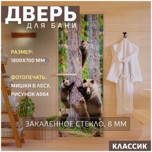 Дверь для бани "Фотопечать рисунок А064" 1800х700 мм Правая (петли справа)