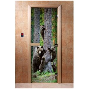 Дверь для бани и сауны 1800x700 мм, стеклянная, DoorWood Фотопечать A064