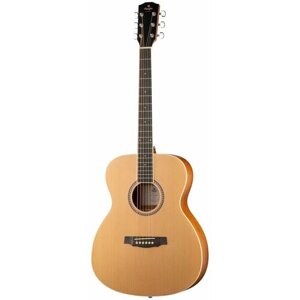EA SA25 Акустическая гитара, аудиториум, Prodipe JMFSA25