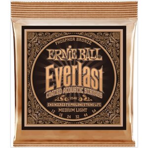 ERNIE BALL 2546 Everlast Coated Phosphor Bronze Medium Light 12-54 Струны для акустической гитары