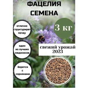 Фацелия семена, "С Алтайских полей", сидерат, медонос 3 кг, зеленое удобрение