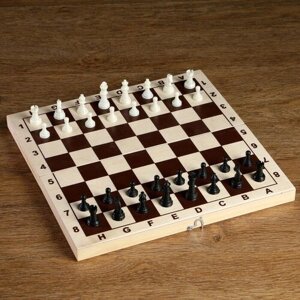 Фигуры шахматные пластиковые (король h=4.2 см, пешка 2. см)