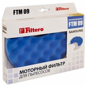Filtero Моторные фильтры FTM 09, разноцветный, 1 шт.