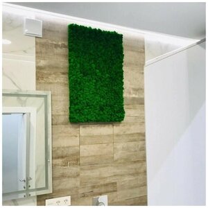 Фитопанель 50*70см из стабилизированного мха ягеля зеленый мох для дизайна интерьера/озеленение, декор для дома